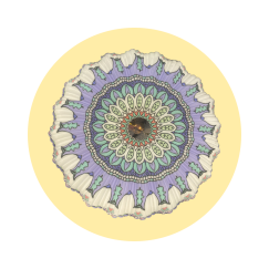 چراغ-سقفی